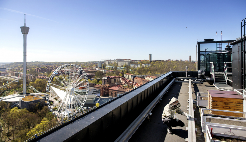 bee hives at Upper House