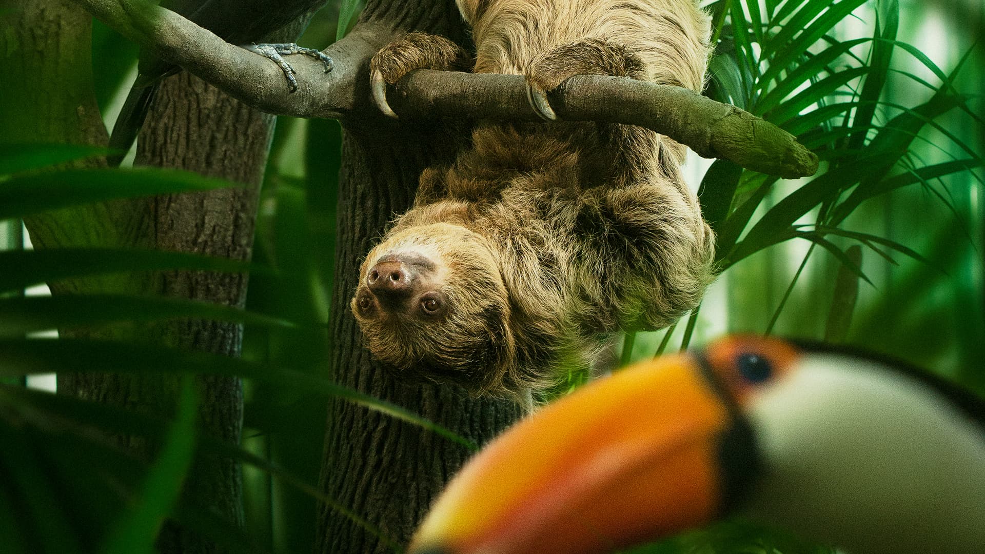Animals at Universeum